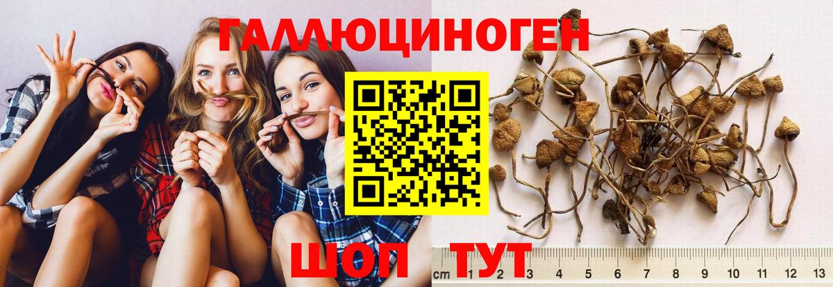 Шахты  Галлюциногенные грибы ЛСД  Вход с VPN 